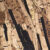 Bark