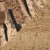 Bark/Natural