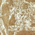 Light/Gold